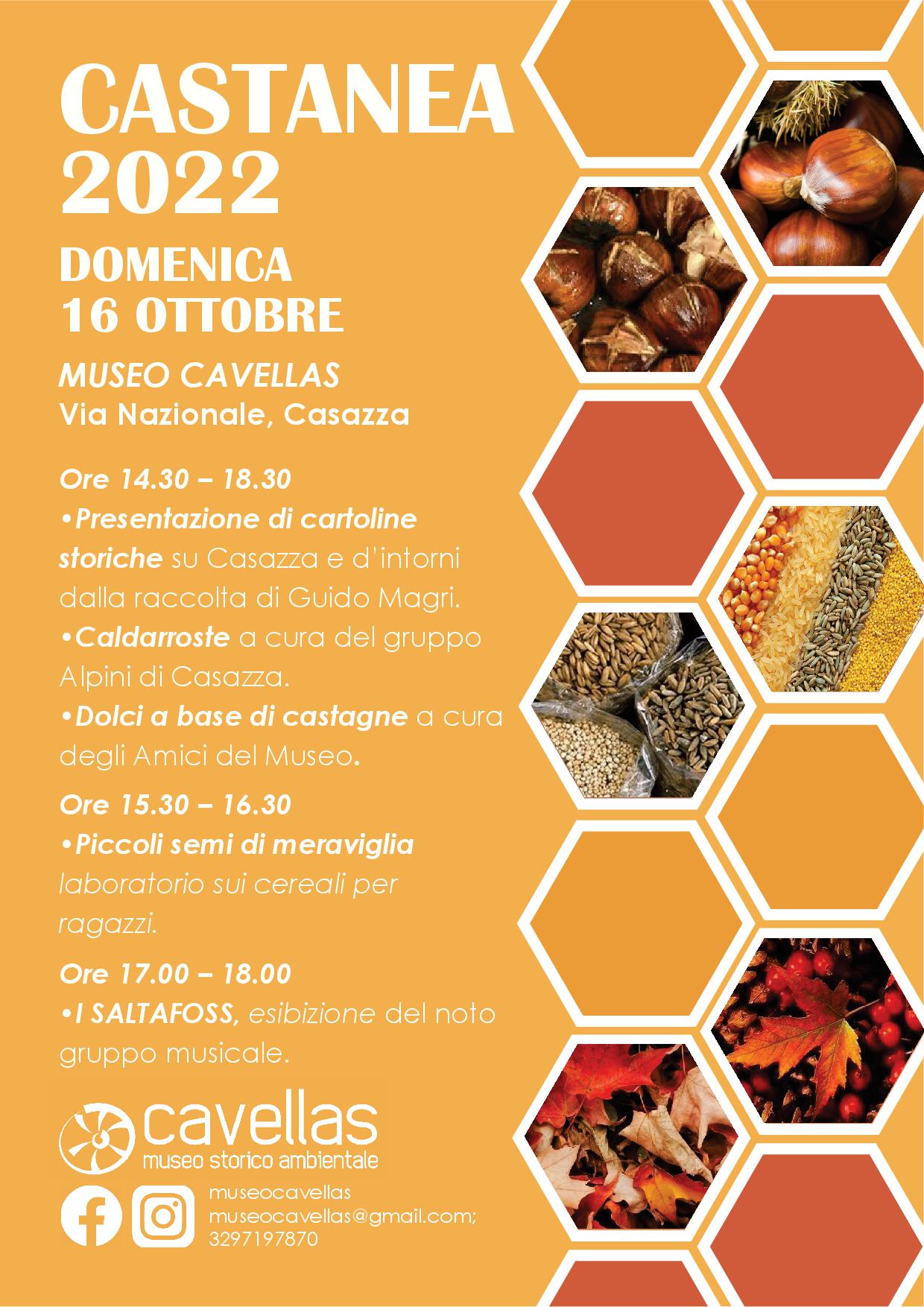 CASTANEA
2022
DOMENICA
16 OTTOBRE
MUSEO CAVELLAS
Via Nazionale, Casazza
