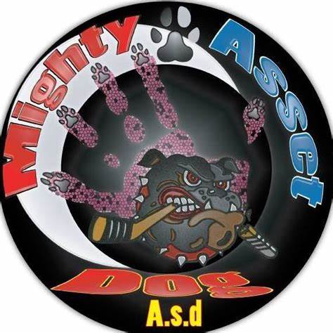 Il centro cinofilo MAD DOG a.s.d. invita venerdì 09 giugno alle 20:30 presso la Sala Consiliare del comune di Casazza alla serata sul tema del comportamento del cane e delle problematiche connesse. In allegato gli argomento trattati - Ingresso gratuito.