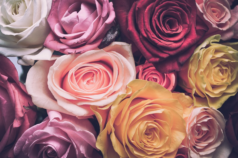 Con l'augurio alle donne italiane che venga presto il tempo in cui la tutela dei diritti e l'evoluzione della cultura restituiscano ai fiori tutta la grazia e il profumo di un dono vero