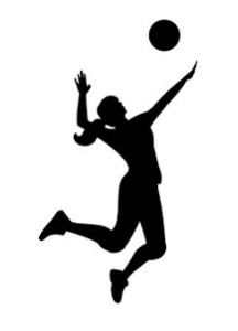 logo associazione : Gruppo Genitori Pallavolo
